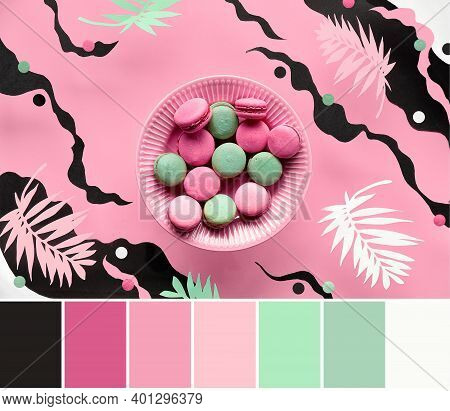 Color Matching Palette. Flying Plate Of Macaroons On Abstract Paper Background With Exotic Palm Meav