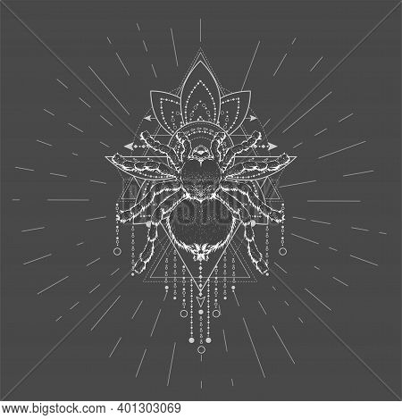 Vector Illustration With Hand Drawn Spider Tarantula And Sacred Symbol Lotus On Black Background. Ab