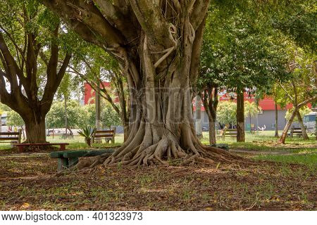 Cassilandia, Mato Grosso Do Sul, Brazil - 12 24 2020: Open Walking Area Square Elza Vendrame With Gr