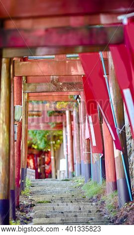 Japan Travel Destnations. Traditional Red Torii Gates With Walkway At Koyasan Mountain Shrine In Jap