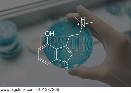 Psilocin Mushrooms Formula. Legalization Medical Psychedelic. Psychoactive Natural Drug.