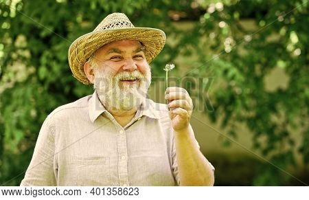 Elderly Man In Straw Summer Hat. Mental Health. Peace Of Mind. Harmony Of Soul. Peaceful Grandpa Blo