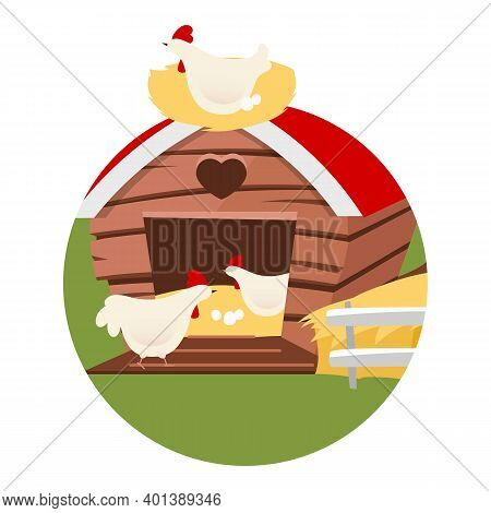 Poultry Farming Flat Concept Icon. Domestic Birds Sticker, Clipart. Agricultural Animals. Chicken Fa