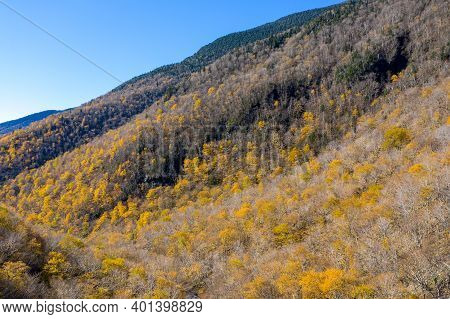 Panoramic View Of Late Fall Foliage In Smugglers Notch, Vermont.