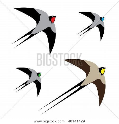 Hirondelle