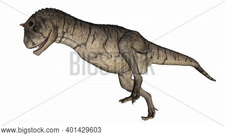 Carnotaurus Dinosaur Walking And Roaring Isolated In White Background - 3d Render
