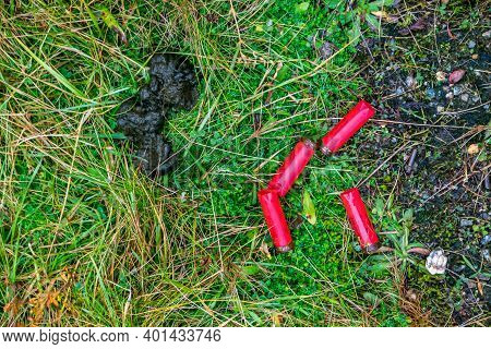 Glenties, Ireland - December 06 2020 : Birdshot Lying In The Field