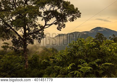 Khao Khai Nui, Sea Of Fog In The Winter Mornings At Sunrise, New Landmark To See Beautiful Scenery A