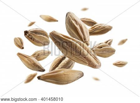 Barley Malt Grains Levitate On A White Background