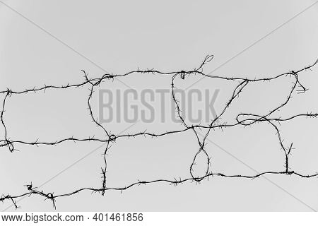 Barbed Wire Against The Gray Sky. Protection Of The Territory From Malefactors. Escape Prevention.