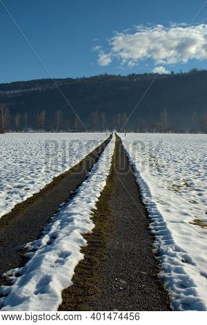Winter Landscape Scenery In Ruggell In Liechtenstein 17.12.2020