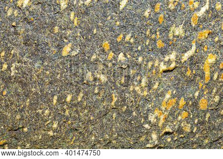Detail Of A Colored Sea Stone