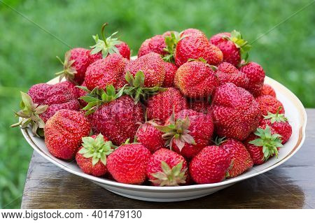 Red Ripe Strawberry On White Plate On Green Grass Background