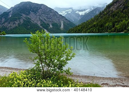 Sommerlandschaft Plansee (Ã–sterreich).