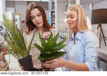 Beautiful Female Friends Buying Plants For Their Home. Young Housewives Examining Potted Plants For 