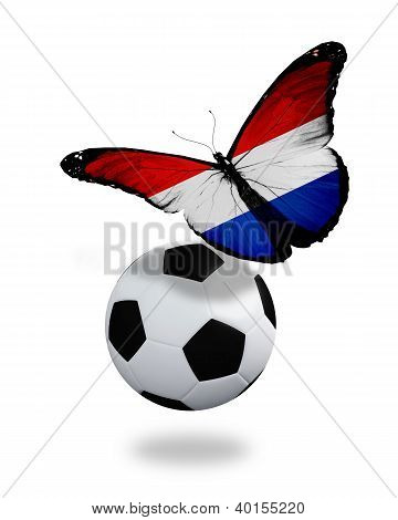 Kavram - kelebek Felemenk oynarken futbol takımı gibi top yakın uçan bayrak