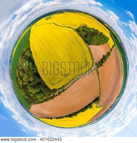 Panoramatic Planet Of Yellow Rapeseed Field With Split Parts Of Fields With Groves