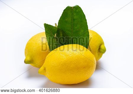 Fresh Ripe Yellow Italian Lemons With Leaf, New Harvest