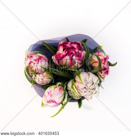 Beautiful Tseti Tulips On A Light Background