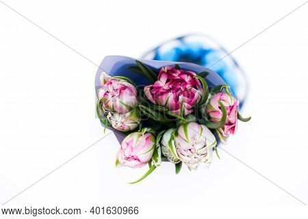 Beautiful Tseti Tulips On A Light Background