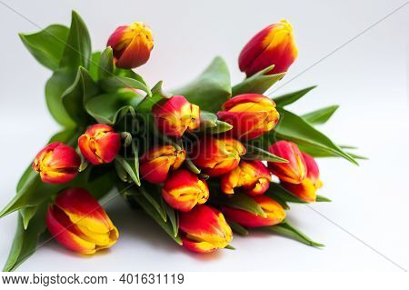 Beautiful Tseti Tulips And Roses On A Light Background