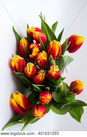 Beautiful Tseti Tulips And Roses On A Light Background