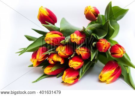 Beautiful Tseti Tulips And Roses On A Light Background