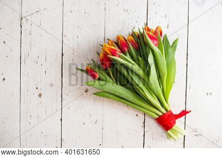 Beautiful Tseti Tulips On A Light Background