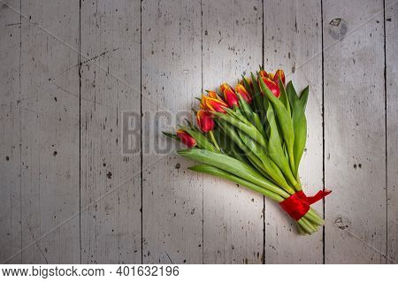 Beautiful Tseti Tulips On A Light Background