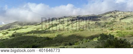 Mt Diablo Winter Terrain Of Hill, Grass, Woodlands, And Foggy Blue Skies. Mt Diablo State Park, Cont