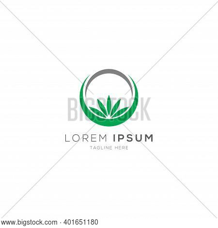Green Tree Brand Logo Design Template Vector