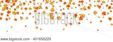 Horizontal Pattern Bright Dried Maple Autumn Foliage Isolated On White. Graphic Design Autumn Symbol