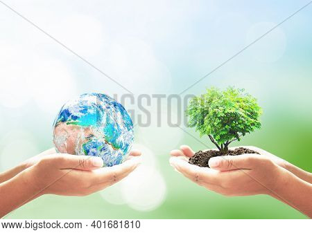 World Environment Day Concept: Two Human Hands Holding Earth Globe And Heart Shape Of Tree Over Blur