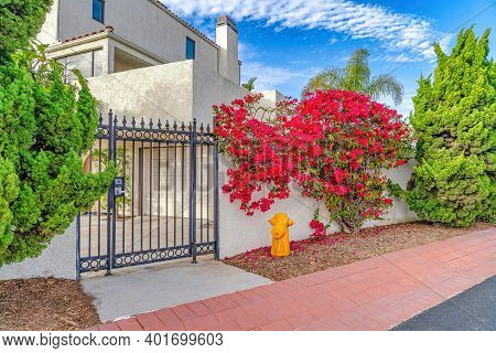 Iron Gate And Fence Of House With Plants Flowers And Fire Hydrant At Road Side