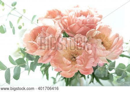 Bouquet Of Peonies On A White Background. Eucalyptus And Peonies Bouquet In A Glass Vase. Beautiful 