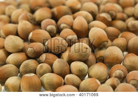 Tło z orzechów laskowych