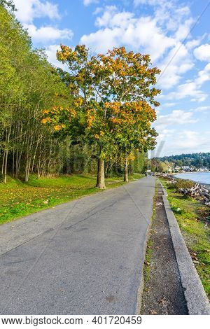 A Trre With Autumn Colors By A Walkway At Lincoln Park In West Seattle, Washington.