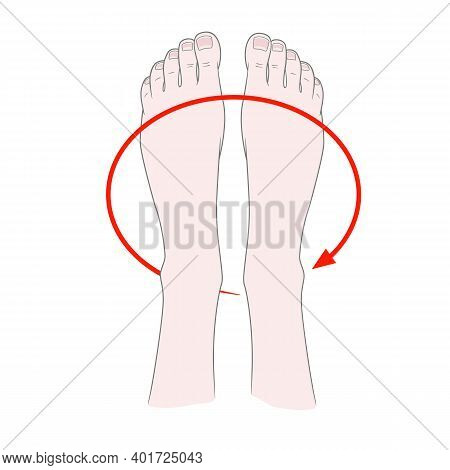 Foot Massage. Kneading And Prevention Of Diseases Of The Bones Of The Ankle. Rotation Of The Feetvec