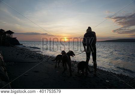 Banyuwangi, Indonesia - May 14, 2020 : A Woman Playing With The Dogs At Watudodol Beach Banyuwangi I