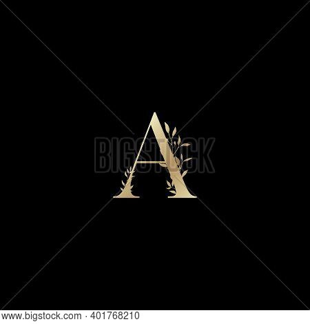 Letter A Logo Icon Design Template Elements - Illustration