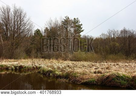 The River Talca In Belarus. Spring Day. On The Opposite Coast A Wild Meadow With A Dry Grass, Bushes