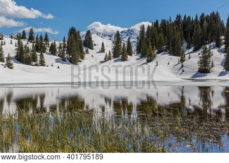 Trees Reflected In Water Of Lake Lower Praetschsee Near Arosa In Sunlight