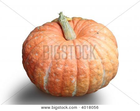 Big orange pumpa på en vit bakgrund