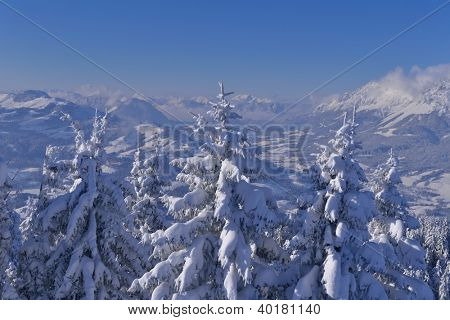 natura mountaint zimowy pejzaż z drzewa i śnieg świeży