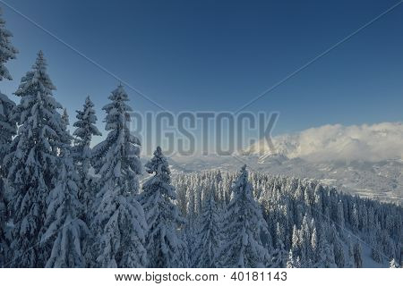 natura mountaint zimowy pejzaż z drzewa i śnieg świeży