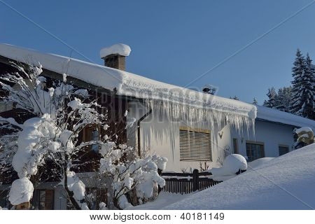natura mountaint zimowy pejzaż z drzewa i śnieg świeży