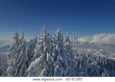 natura mountaint zimowy pejzaż z drzewa i śnieg świeży
