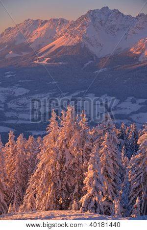 natura mountaint zimowy pejzaż z drzewa i śnieg świeży
