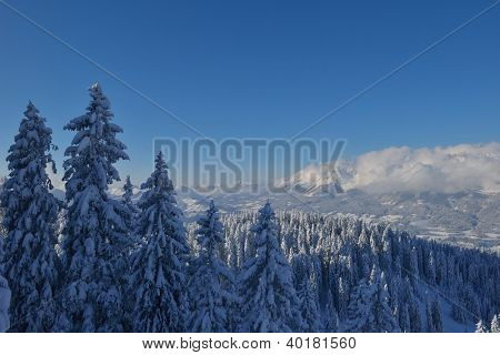 natura mountaint zimowy pejzaż z drzewa i śnieg świeży