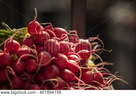 Selective Blur On A Stack Of Pink, Red Globe Radishes Ready For Being Sold On A Market. Also Called 